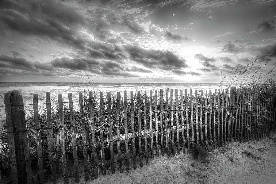 Dune Fences at the Sea Black and White Photograph by Debra and Dave Vanderlaan