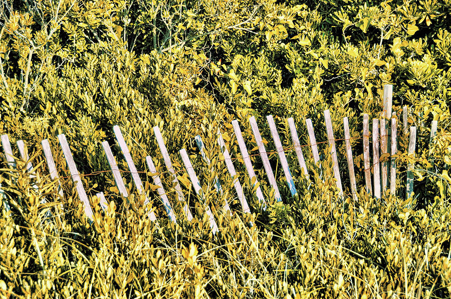 Dune Fencing Photograph by JAMART Photography - Fine Art America