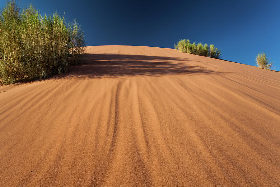 Dune Photograph by Fibru Photography