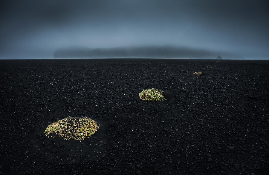 Dune Islands In The Black Desert Photograph by Peter Svoboda Mqep