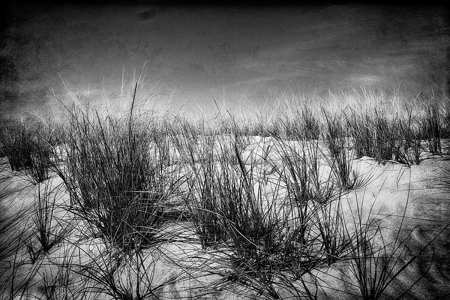 Dune Photograph by Jim Ford