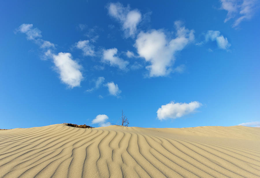 Dune Landscape And Blue Sky With Clouds Photograph by Rob Kints