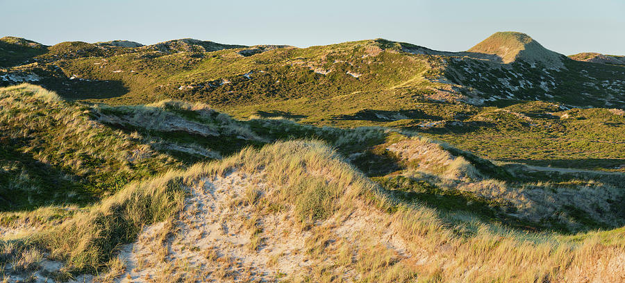 Dune Landscape In The Evening Sun In Nordsylt, Sylt, Schleswig-holstein, Germany Photograph by Rainer Mirau