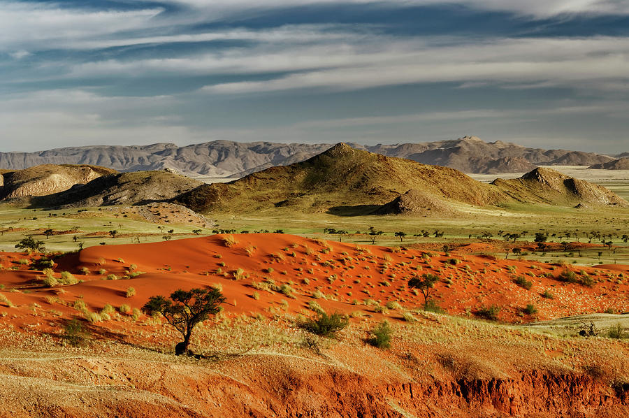 Dune Landscape, Namib Desert, Namibia Digital Art by Gunter Hartmann