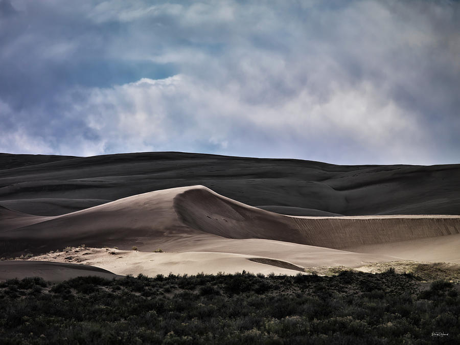 Dune Light Photograph by Leland D Howard