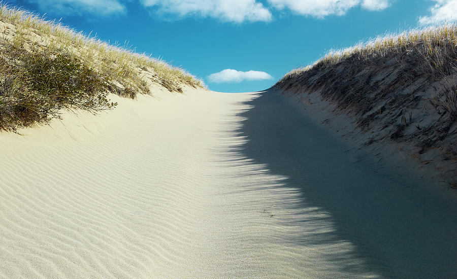 Dune Path Cape Cod Photograph by Jeffrey Coolidge