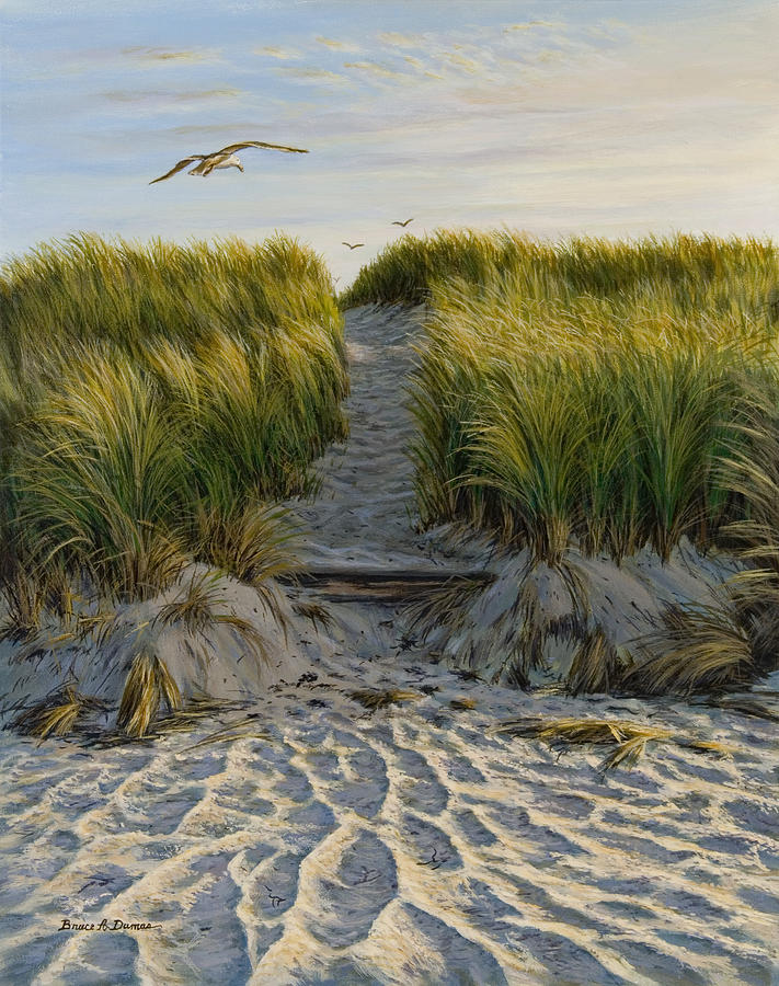 Dune Path Gull Painting by Bruce Dumas