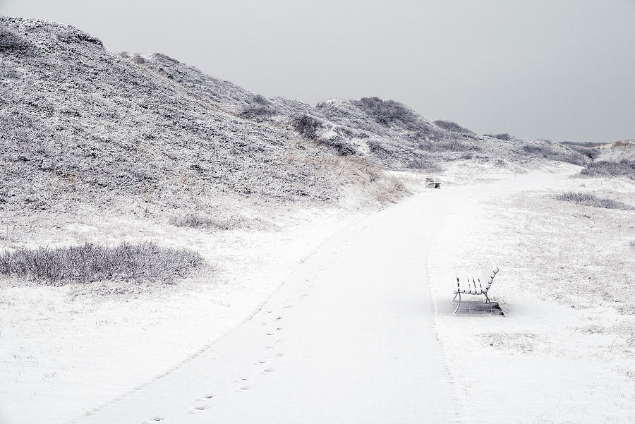 Dune, Path, Park Bench, Snow, Winter, Langeoog, North Sea, East Frisian Islands, East Frisia, Lower Saxony, Germany, Europe Photograph by Axel Ellerhorst