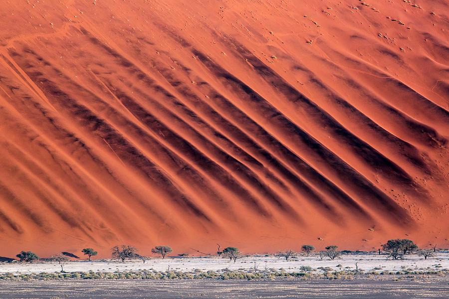Dune Pattern, Namib Desert, Namibia Digital Art by Marco Gaiotti