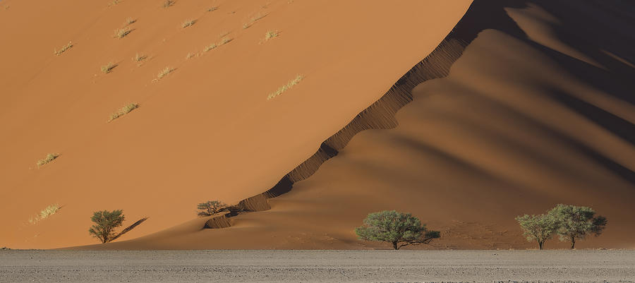 Dune Photograph by Roberto Marchegiani