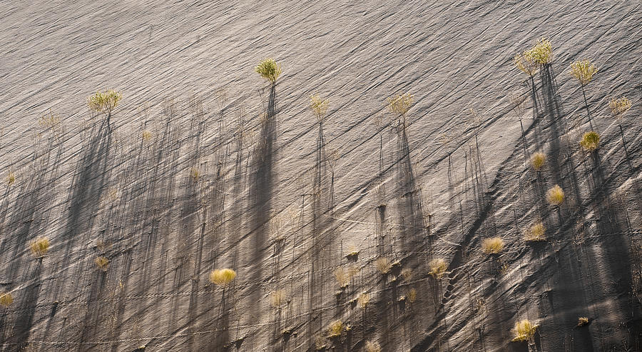 Dune Shadows Photograph by John Rickwood