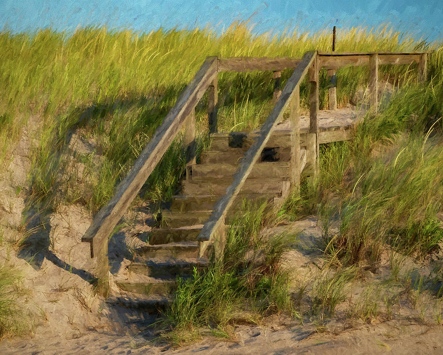 Dune Steps Photograph by Cathy Kovarik