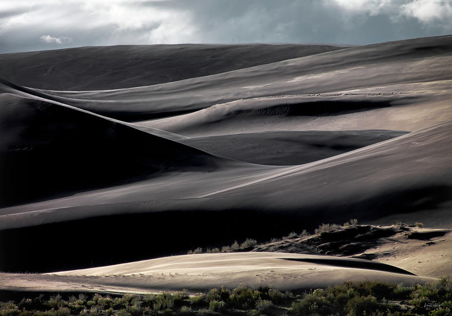 Dune Texture Photograph by Leland D Howard