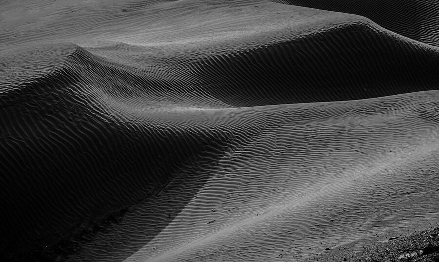 Dune Tunes .. Nubra Valley Ladakh Photograph by Shobhit Chawla