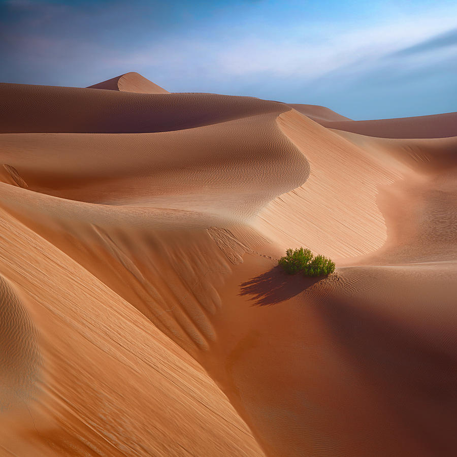 Dunes And Patterns 7r41610 Photograph by Joanaduenas