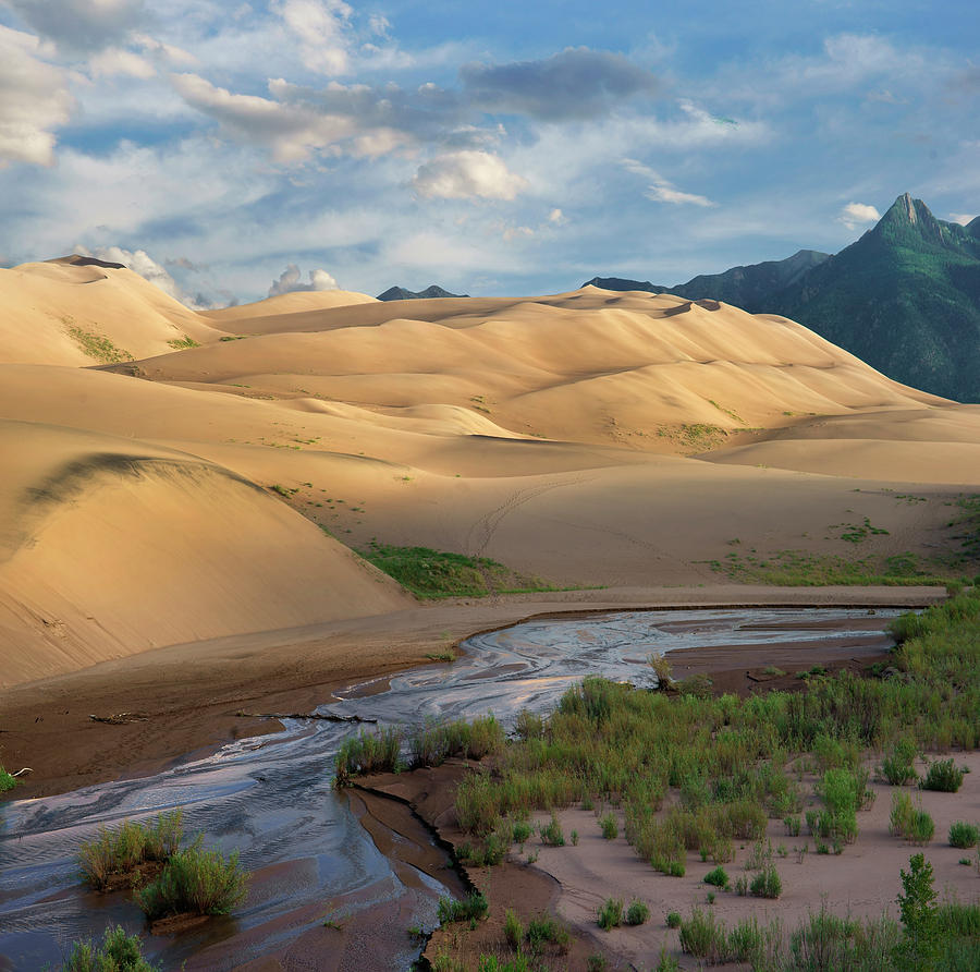 Dunes And River, Great Sand Dunes National Park, Colorado Photograph by Tim Fitzharris