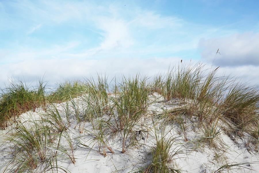 Dunes At Darss On The Baltic Sea Photograph by Jalag / Brita Snnichsen