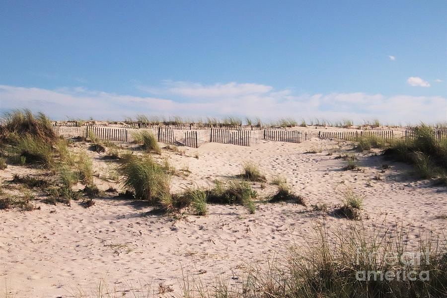 Dunes At Robert Moses by Karen Silvestri Dunes At Robert Moses by Karen Silvestri