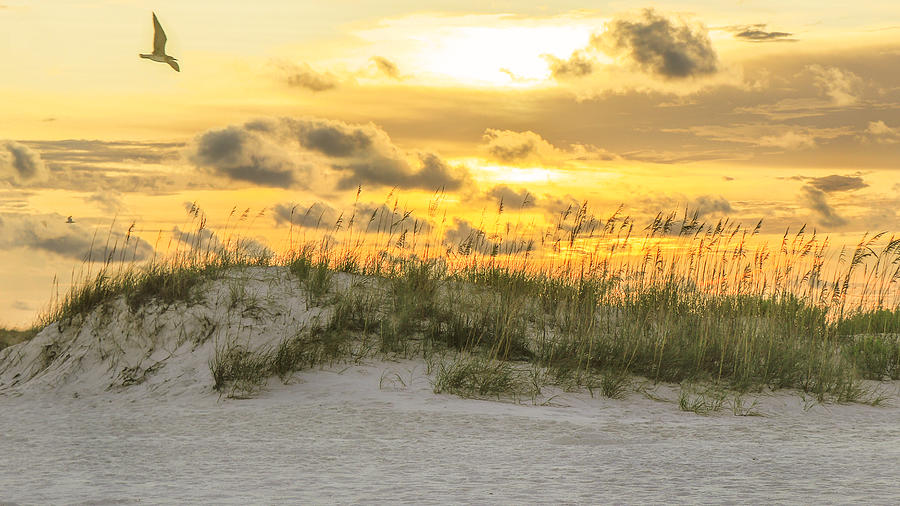 Dunes at Sunset Photograph by Kevin Senter