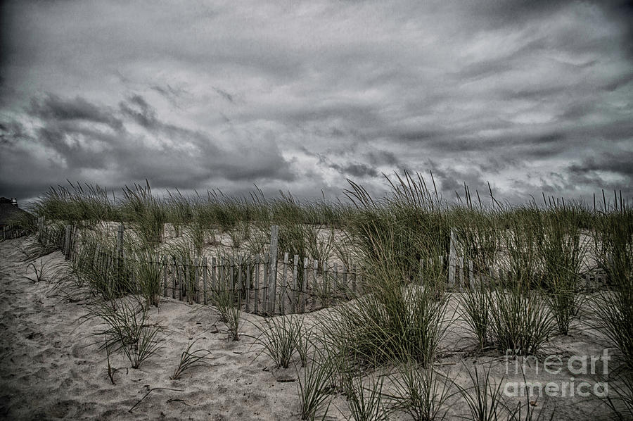 Dunes Day Photograph by Judy Hall-Folde