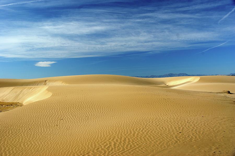 Dunes Del Fangar Photograph by S.ribas