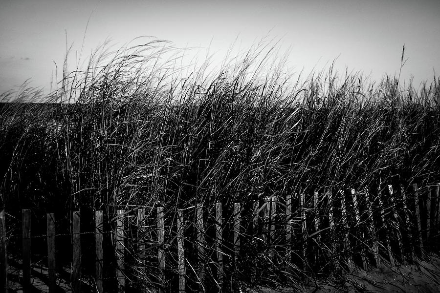 Dunes In Black And White Photograph