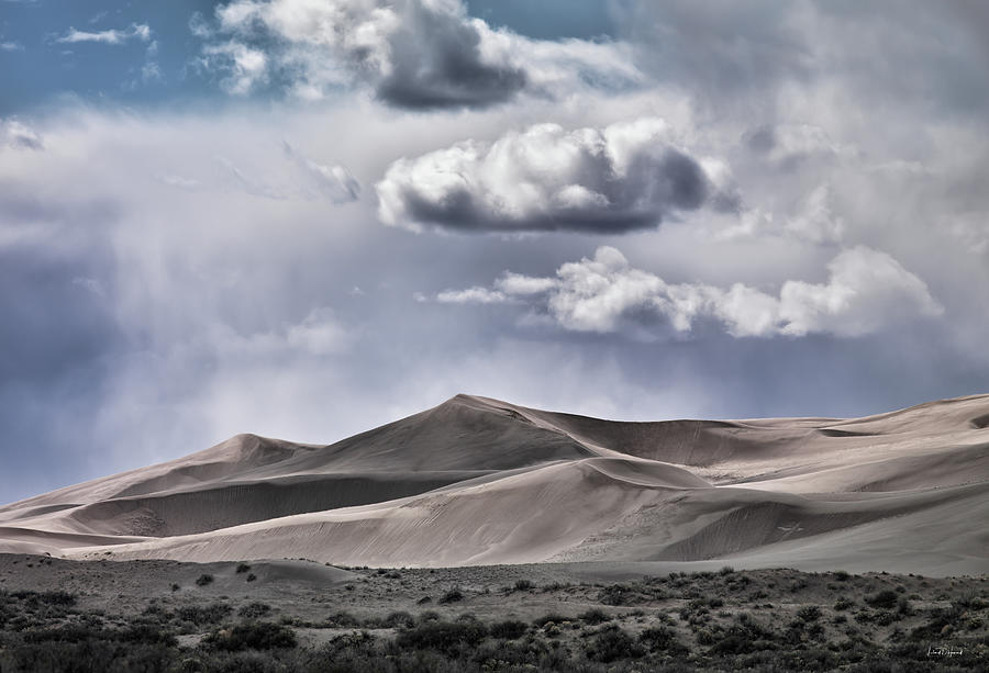 Dunes Photograph by Leland D Howard