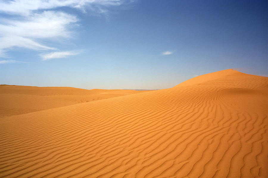 Dunes, Mhamid Photograph by Miloniro