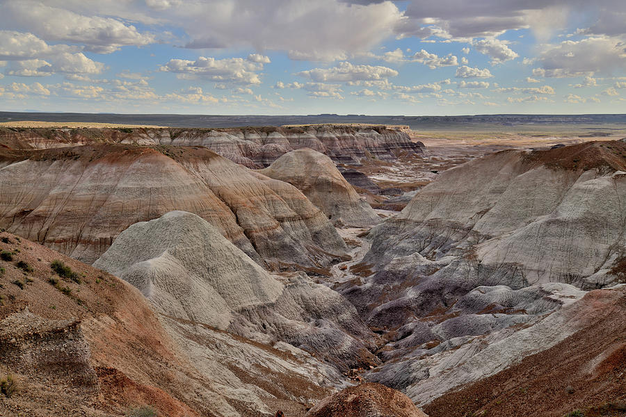 Dunes of Blue Mesa in Petrified Forest Photograph by Ray Mathis
