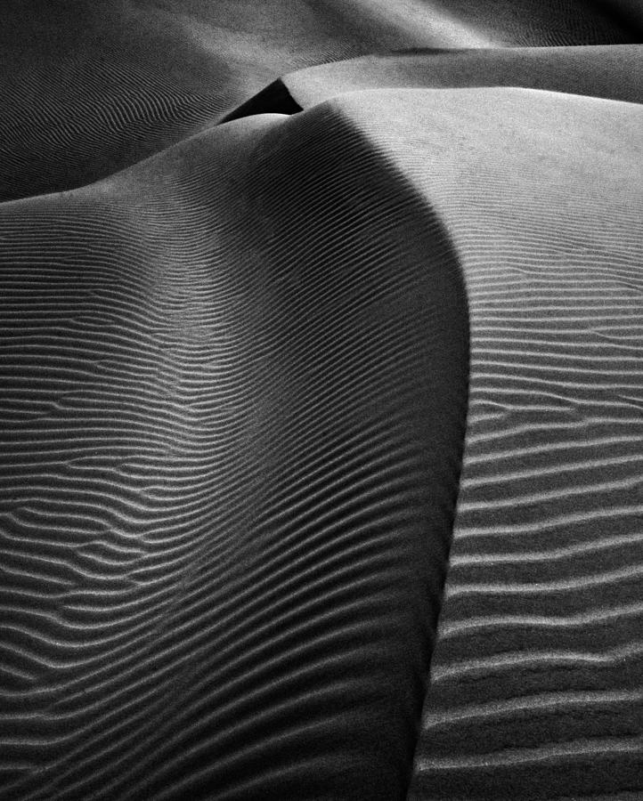 Dunes Of Nude Photograph by Txules