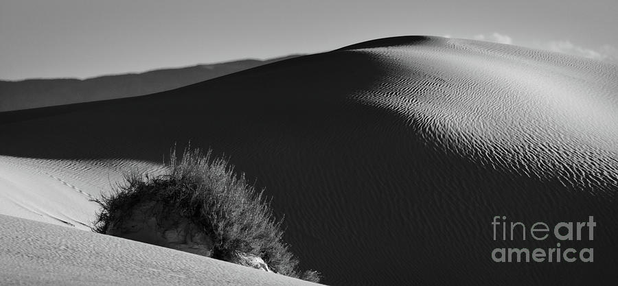 Dunes Of White Sands Photograph by Doug Sturgess