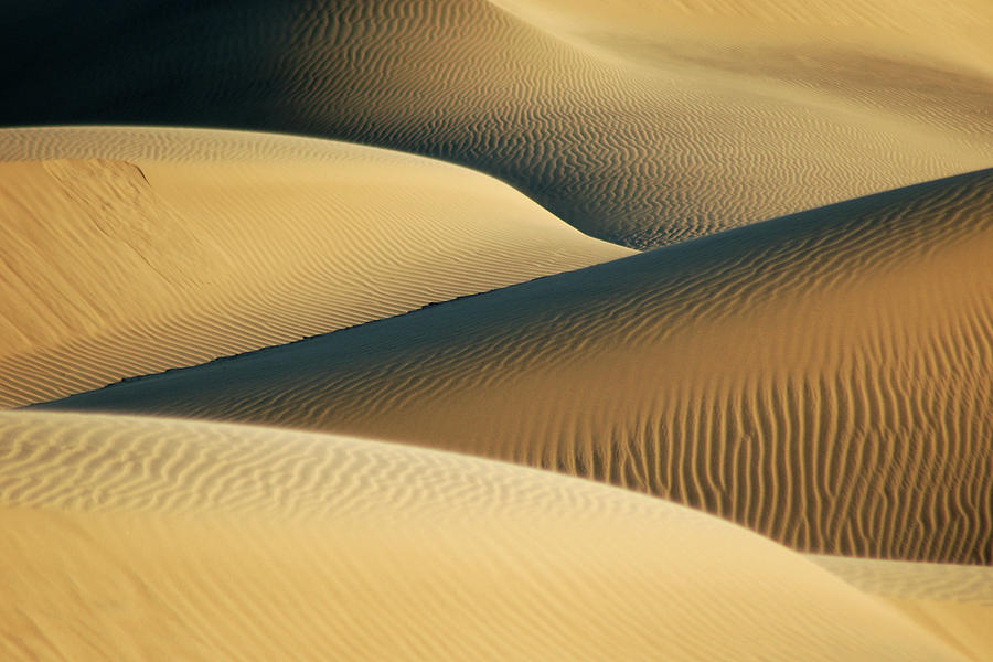 Dunes Photograph by Photo By Mark Willocks