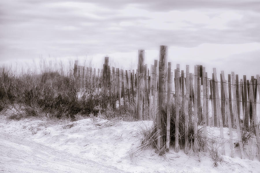 Dunes by Van Sutherland Dunes by Van Sutherland