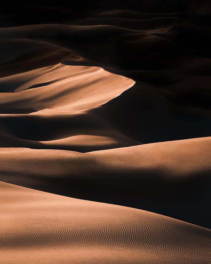 Dunes Photograph by Witold Ziomek