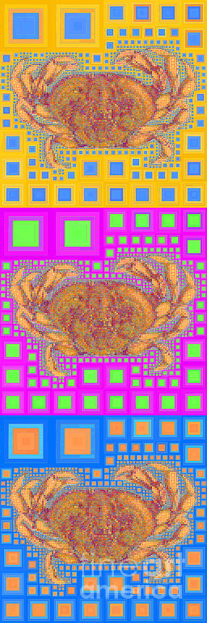 Dungeness Crab in Abstract Squares 20190203 long vertical Photograph by Wingsdomain Art and Photography