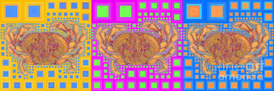 Abstract Photograph - Dungeness Crab in Abstract Squares 20190203 long wide by Wingsdomain Art and Photography