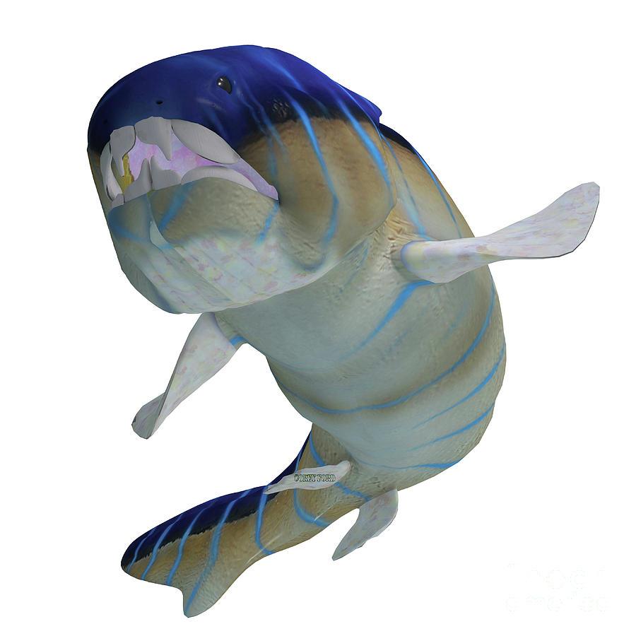 Dunkleosteus Fish Teeth Digital Art by Corey Ford - Fine Art America