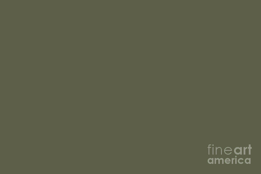 Dunn and Edwards 2019 Curated Colors Olive Court Dark Muted Green