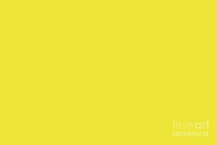 Dunn and Edwards 2019 Curated Colors Summer Sun Bright Yellow DE5405 Solid Color Digital Art by PIPA Fine Art - Simply Solid
