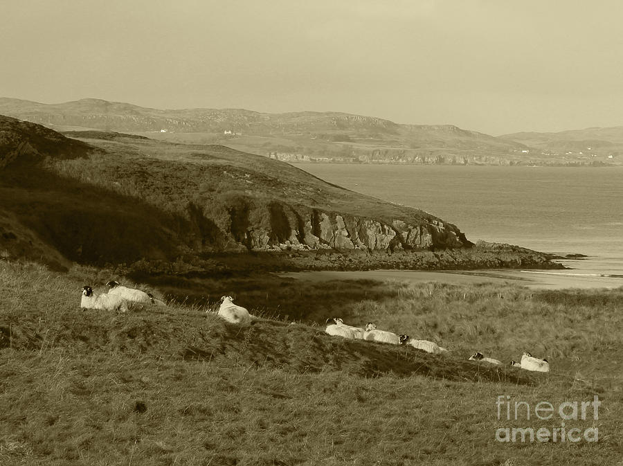 Dunree Coastline Tint by Eddie Barron Dunree Coastline Tint by Eddie Barron