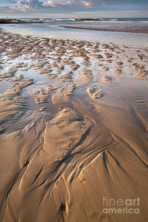 Dunstanburgh Beach, Northumberland Photograph by Philip Preston