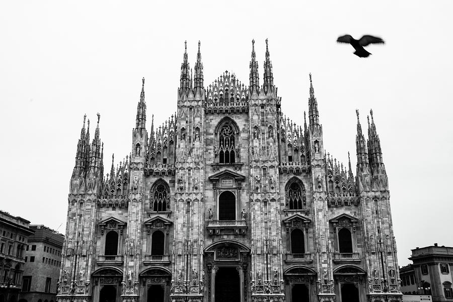 Duomo in Black and White Photograph by Guillermo Lizondo