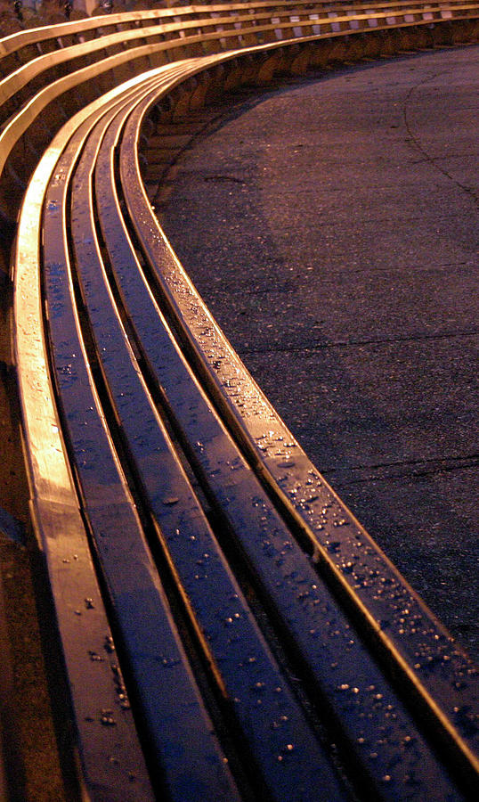 Dupont Circles Bench Photograph