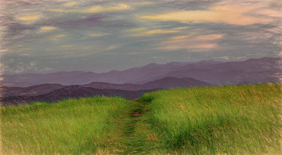 Dusk Along the Appalachian Trail Photograph by Marcy Wielfaert