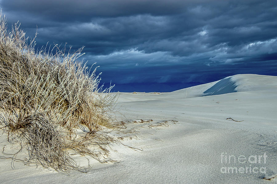 Dusk At White Sands Photograph by Stephen Whalen