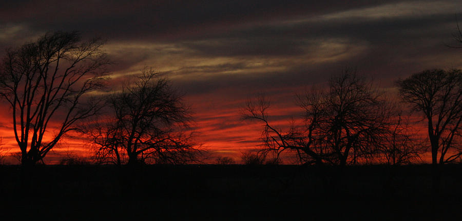 Dusk in Oklahoma Photograph by April Cook
