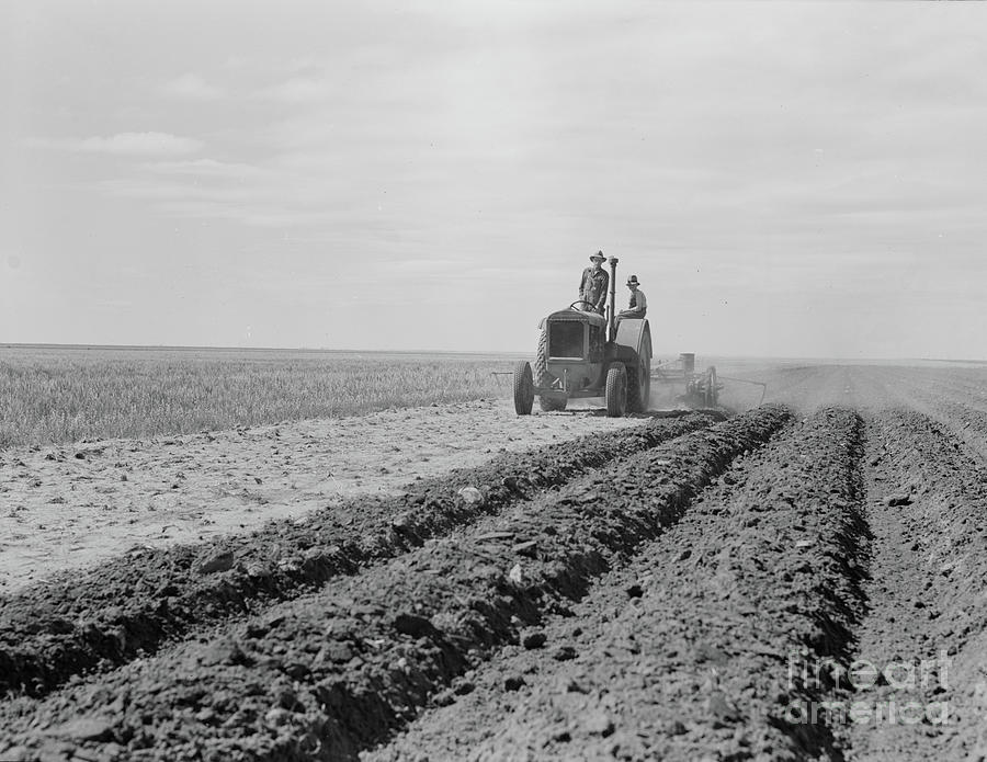 Dust Bowl Farmer Driving Tractor With Young Son Near Cland, New Mexico, 1938 Photograph by Dorothea Lange