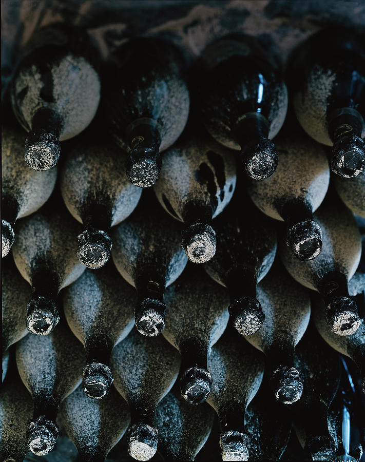 Dust Covered Bottles Of Wine Photograph by Romulo Yanes Dust Covered Bottles Of Wine Photograph by Romulo Yanes