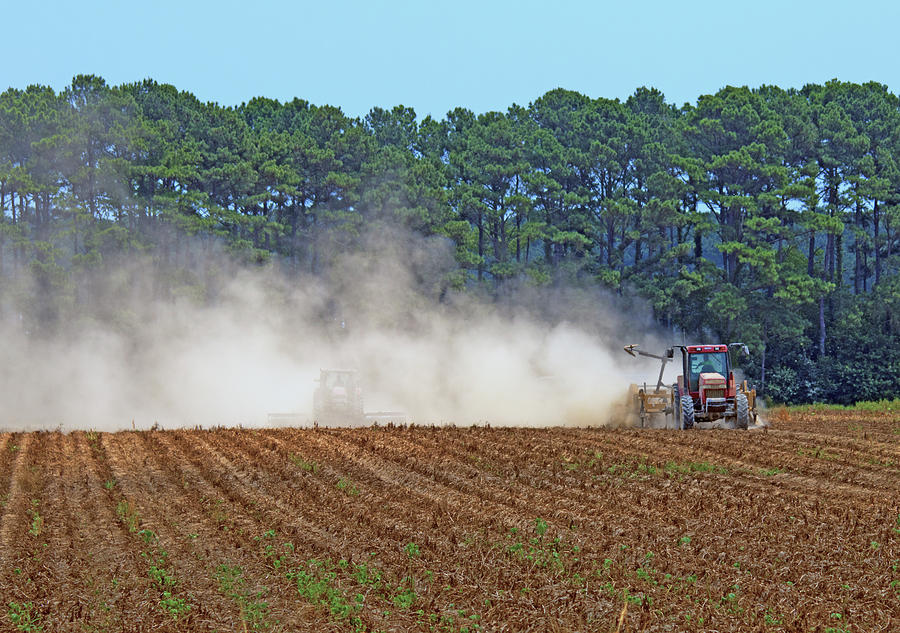 Dust Farming by Karl Ford Dust Farming by Karl Ford