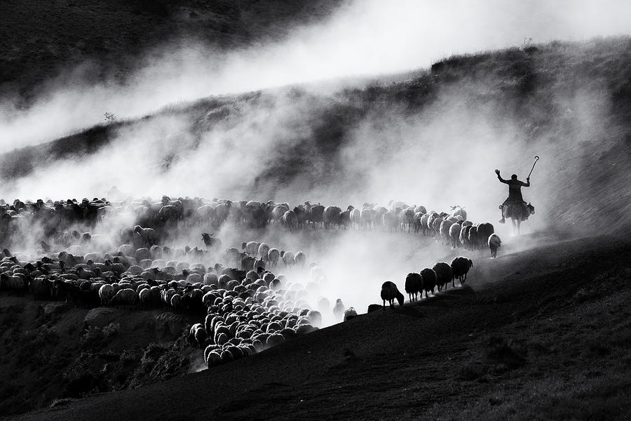 Dust-smoke Photograph by Durmusceylan